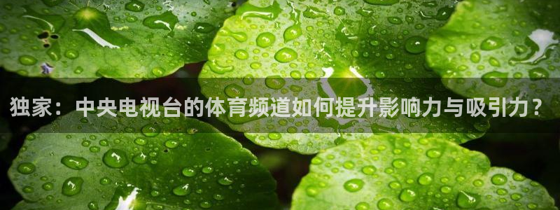 龙门直播app直播下载