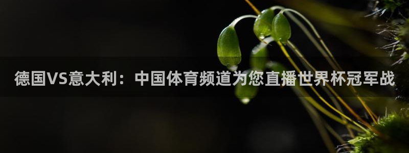 龙门直播足球赛事