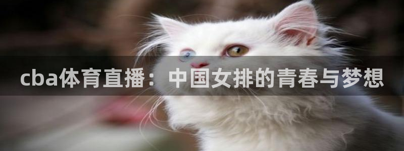 龙门直播app体育下载最新版
