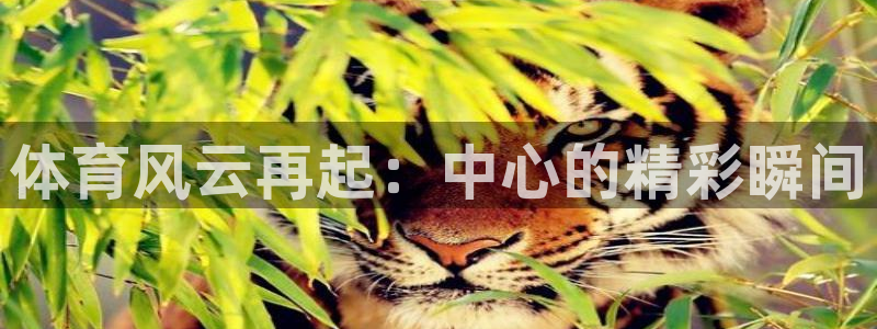 jrs直播龙门直播体育